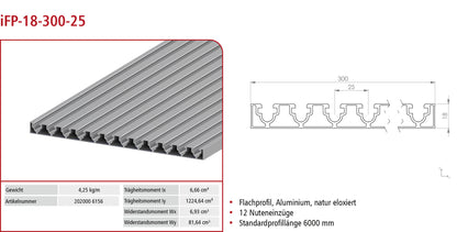 Flachprofil ie-P-18-300-25-12